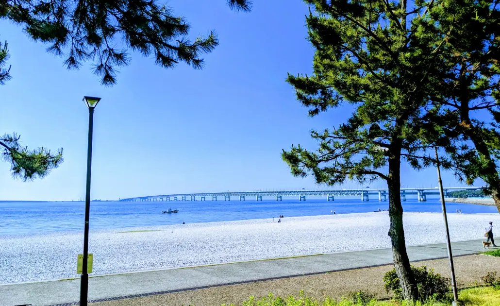 🏞️ 린쿠 공원 (린쿠 코엔) 이미지 4